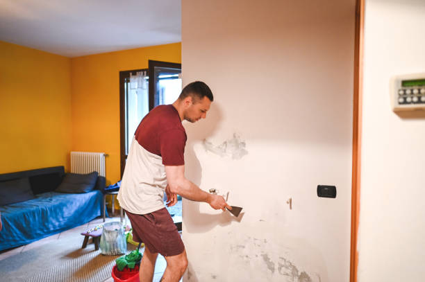 Best Emergency Mold Remediation in Fort Pierce North, FL